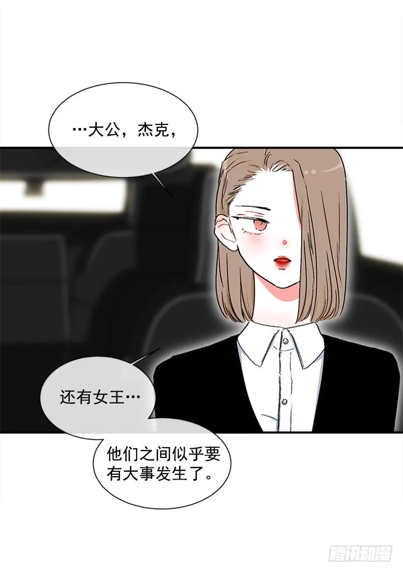 130.家猫和流浪猫 第8页
