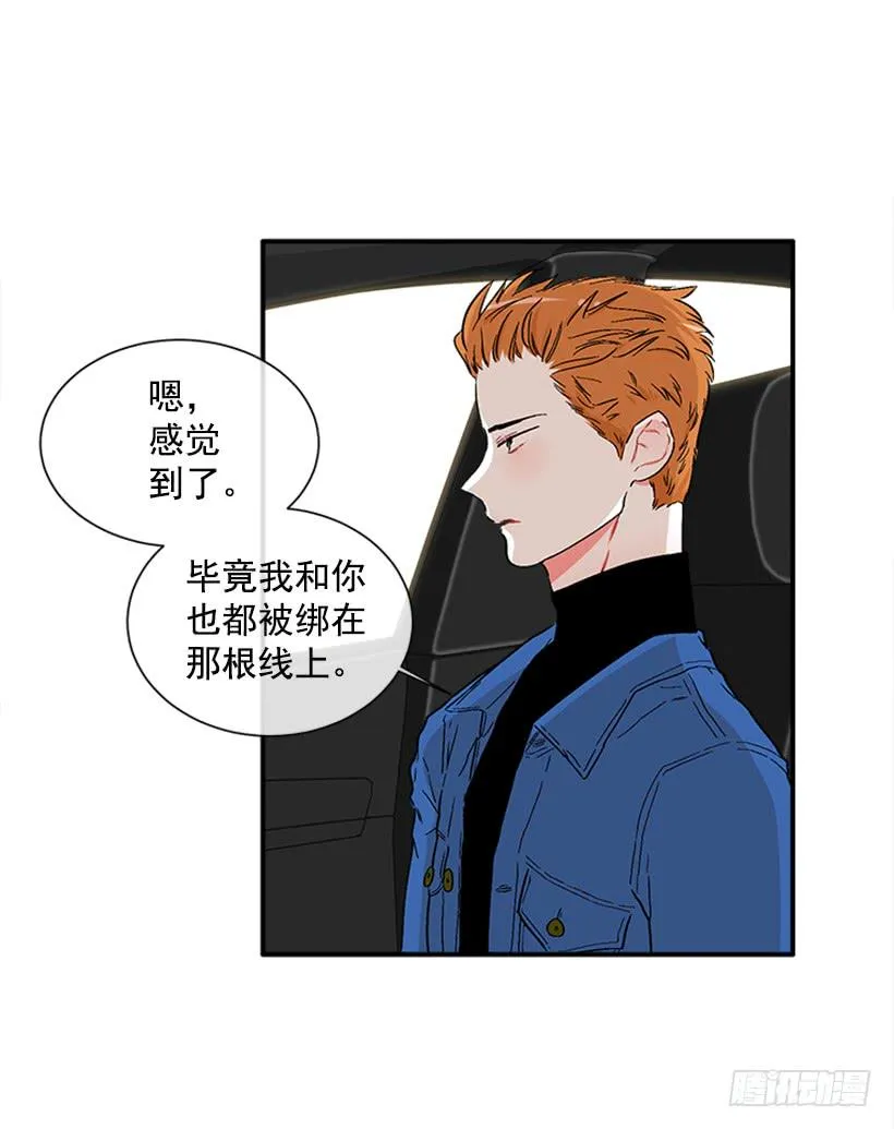 130.家猫和流浪猫 第10页