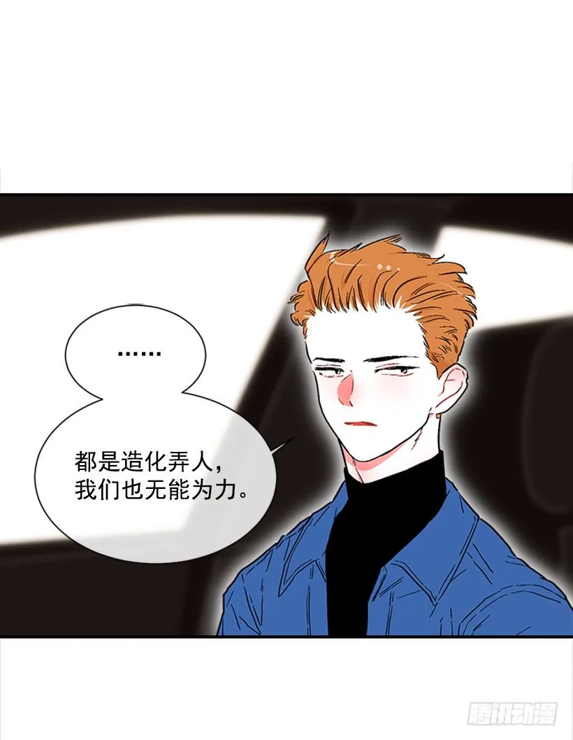 130.家猫和流浪猫 第12页