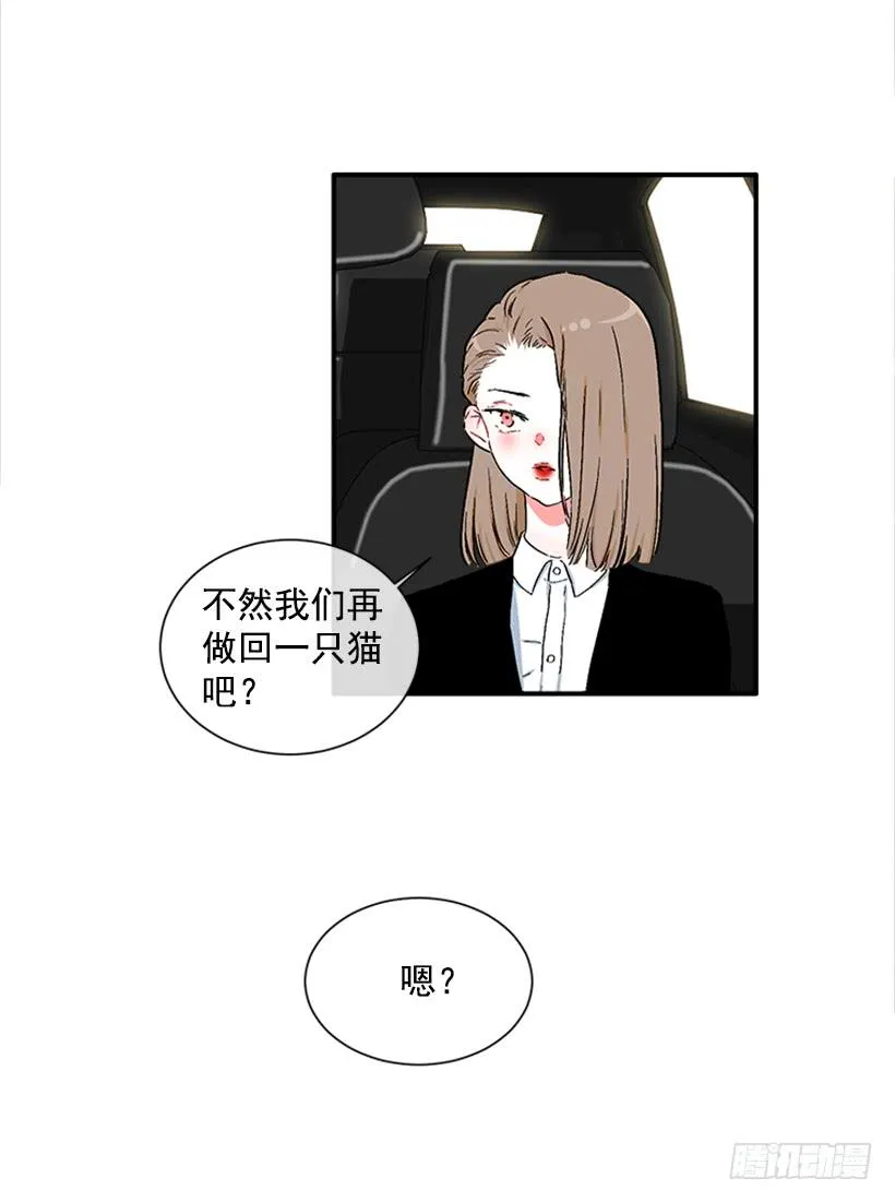 130.家猫和流浪猫 第13页