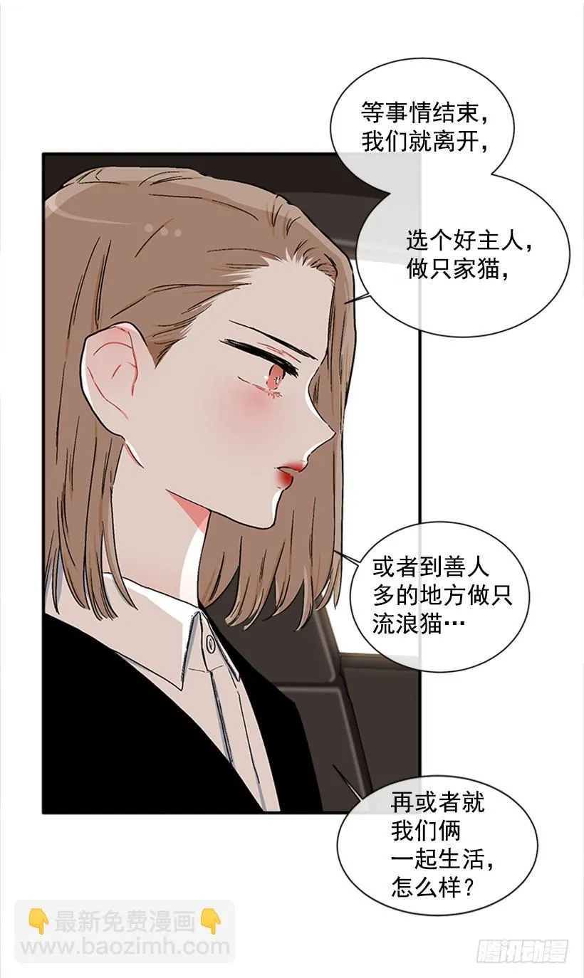 130.家猫和流浪猫 第14页
