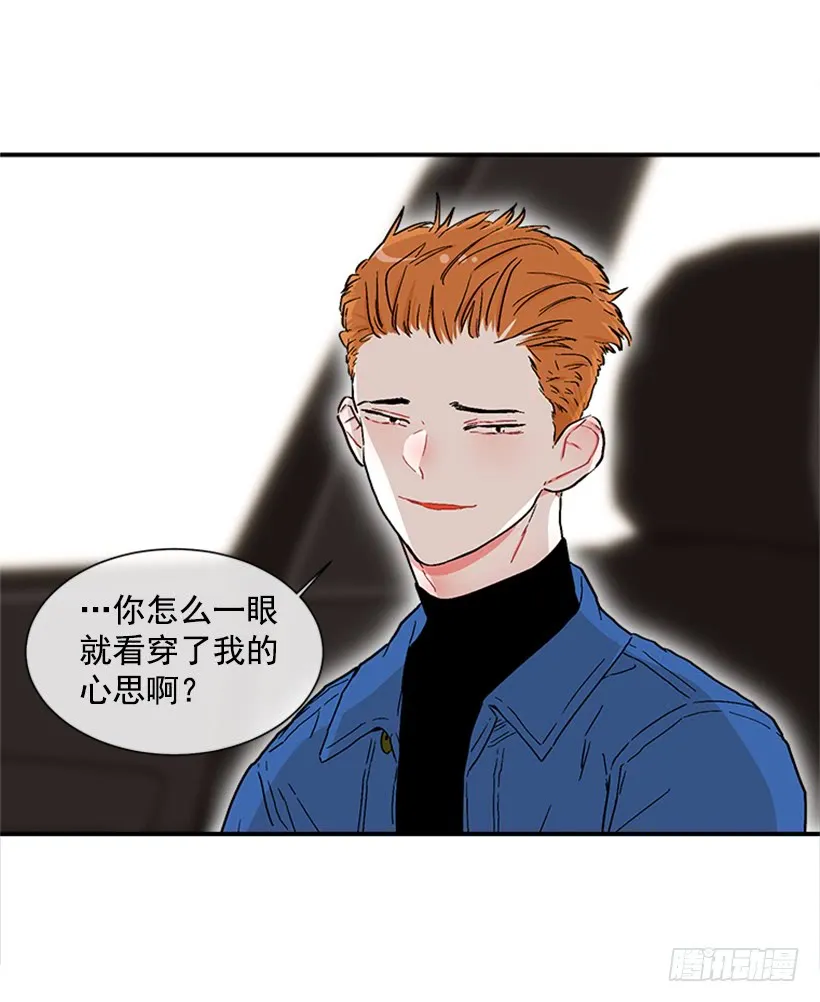 130.家猫和流浪猫 第19页
