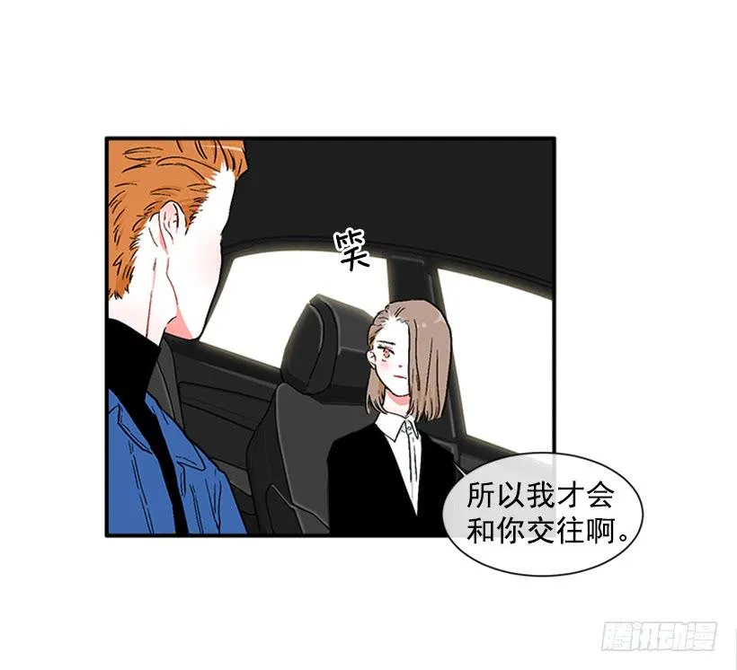 130.家猫和流浪猫 第20页