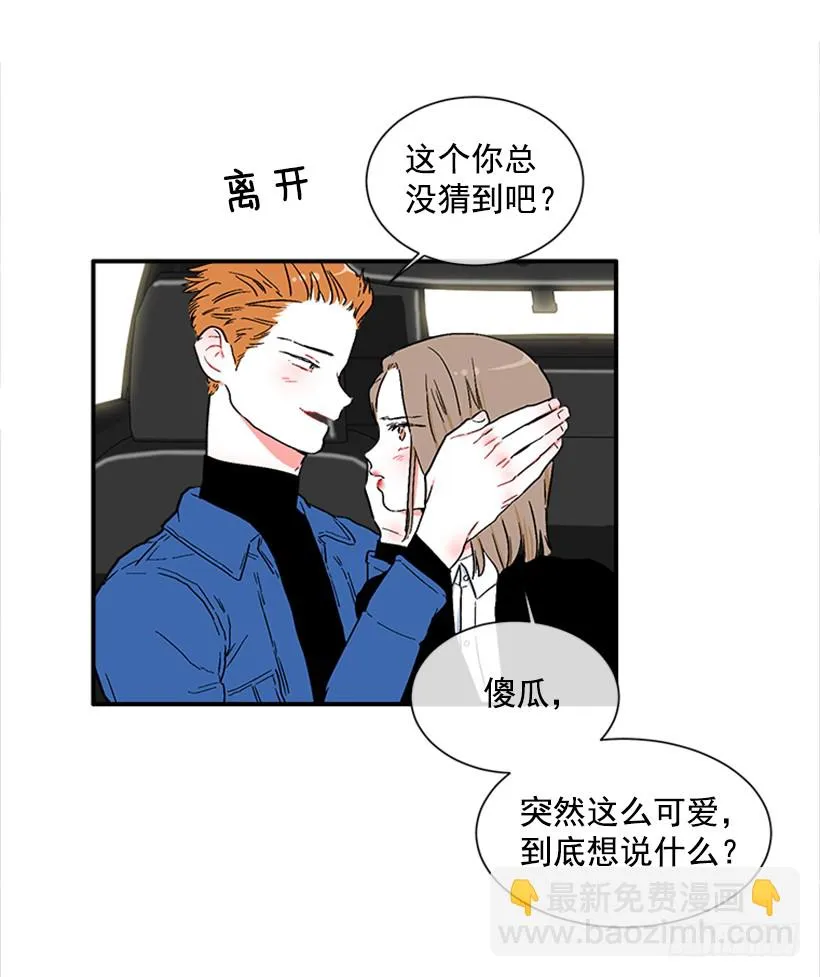 130.家猫和流浪猫 第25页