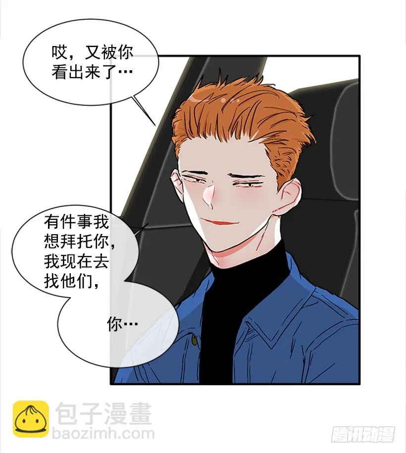 130.家猫和流浪猫 第26页