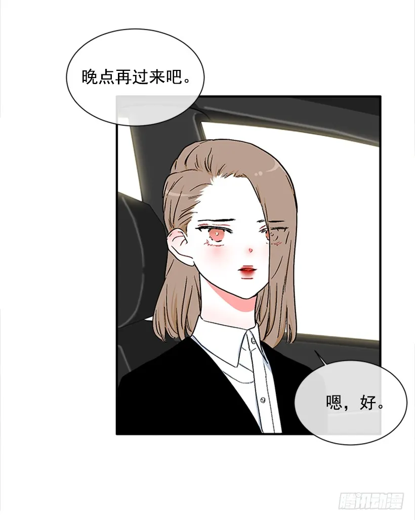130.家猫和流浪猫 第27页