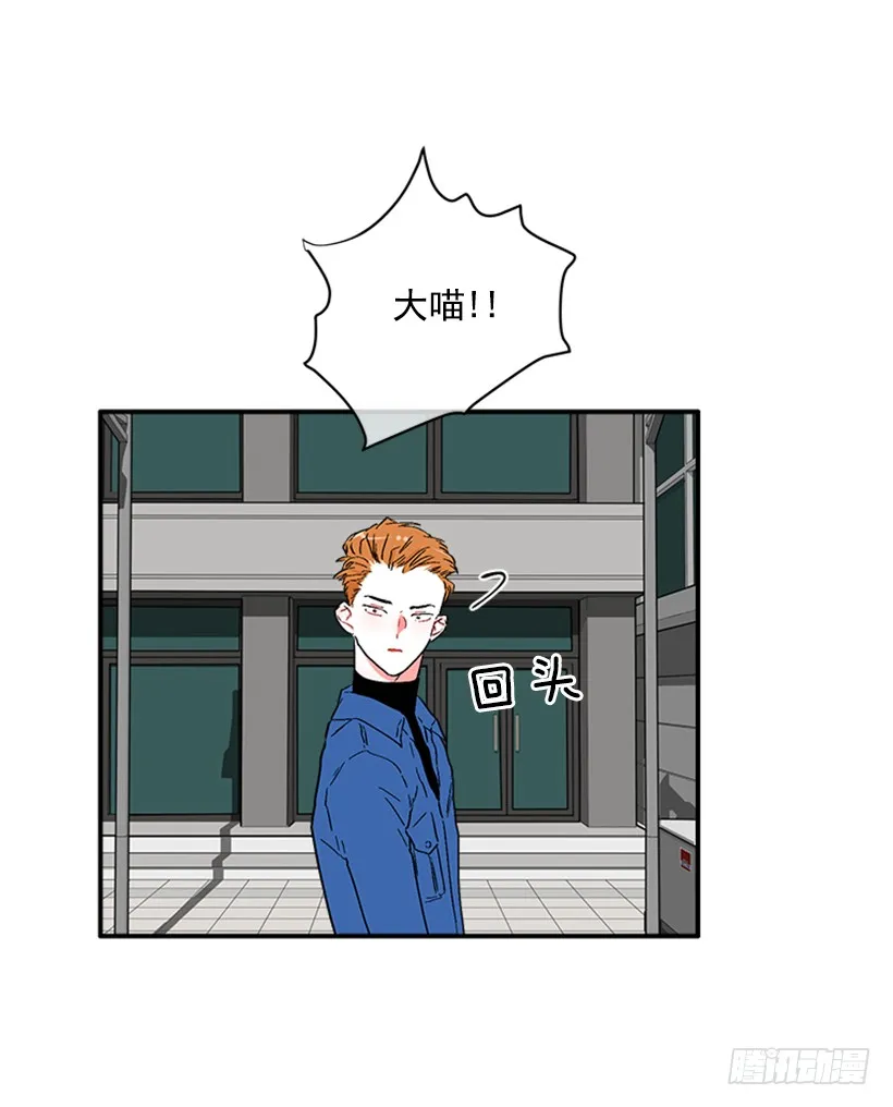 130.家猫和流浪猫 第32页