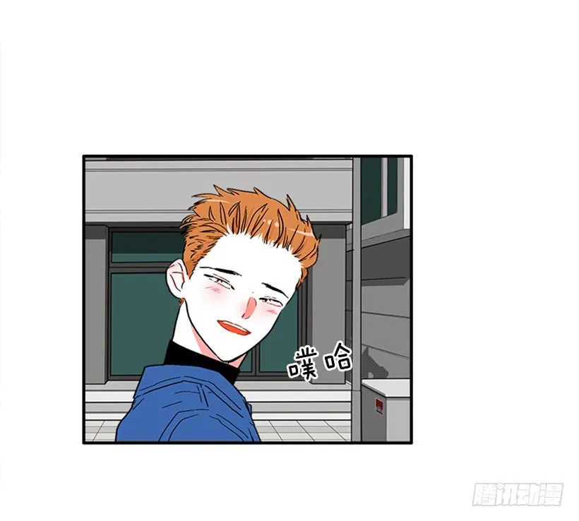 130.家猫和流浪猫 第34页