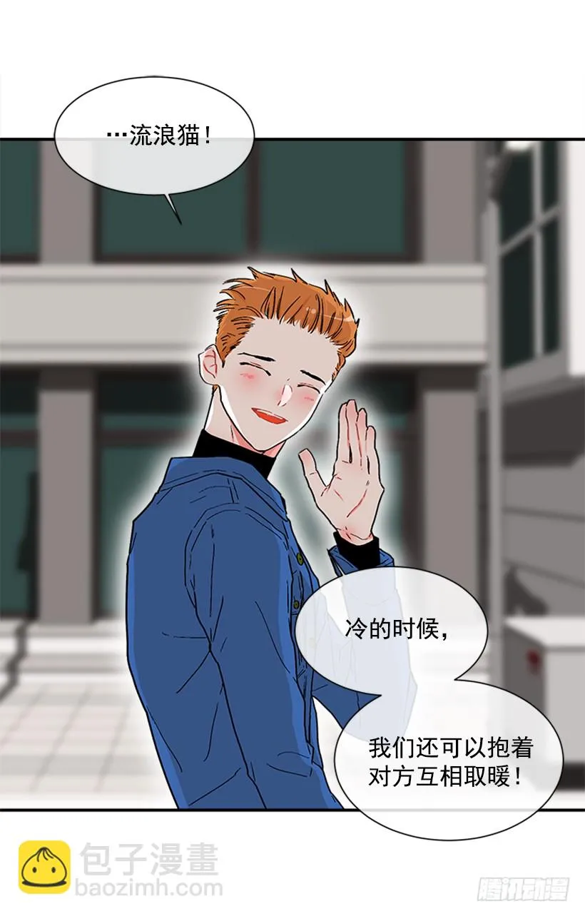 130.家猫和流浪猫 第35页