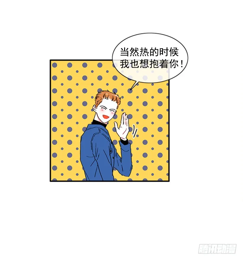 130.家猫和流浪猫 第36页
