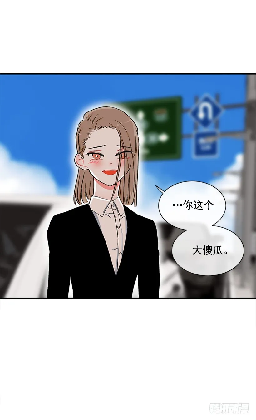 130.家猫和流浪猫 第37页