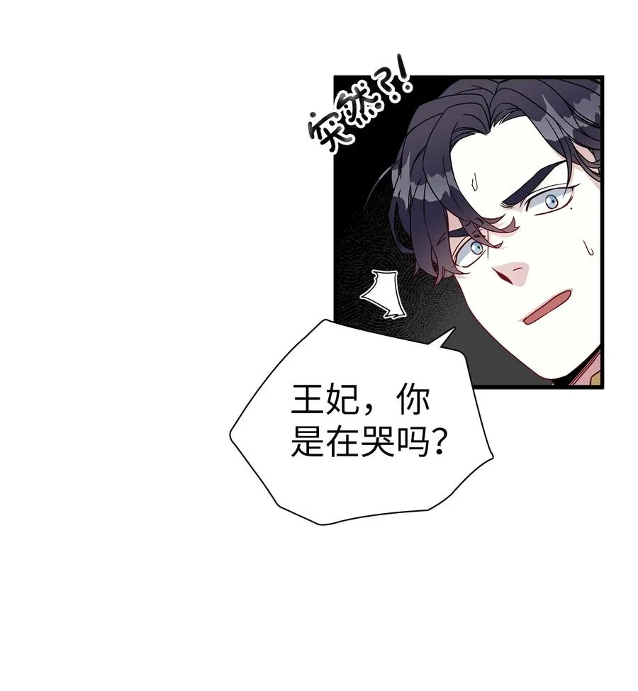 22 王妃发疯 第29页