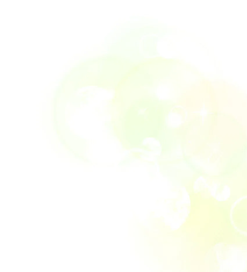 88 百合的花期 第14页