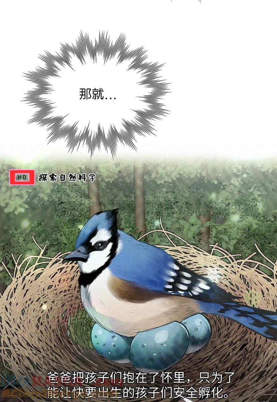 104 最佳取暖方法 第49页