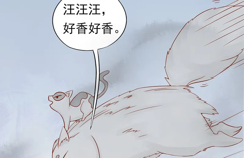 第二十二话 夜行 第17页
