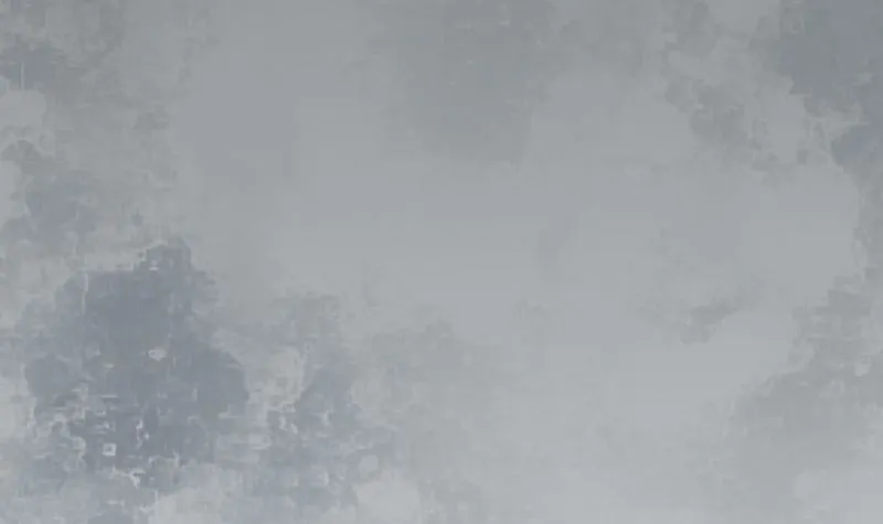 第十二话 找到真凶 第74页
