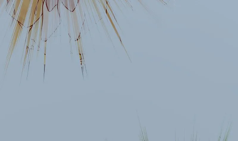 第八话 往日影像 第7页
