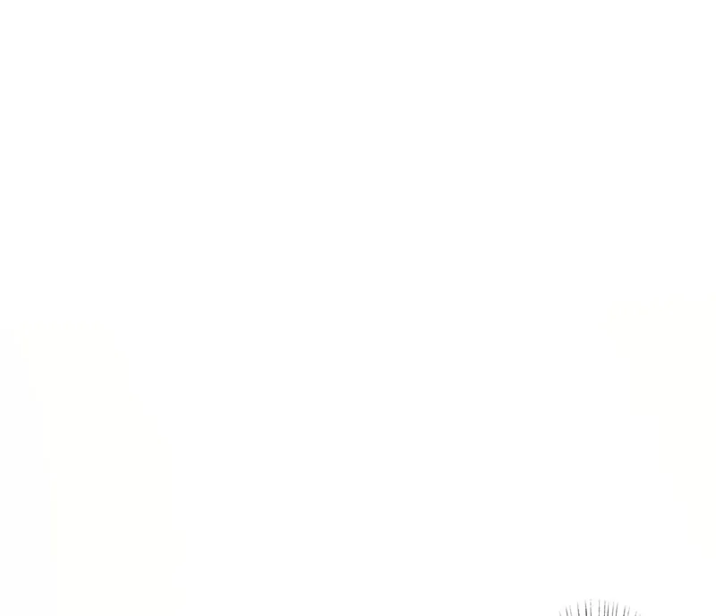 第四话 凶兽与观音 第26页