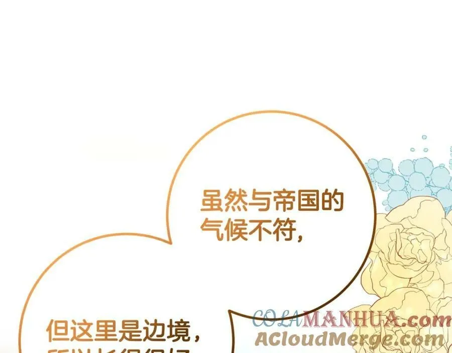 第44话 计划 第13页