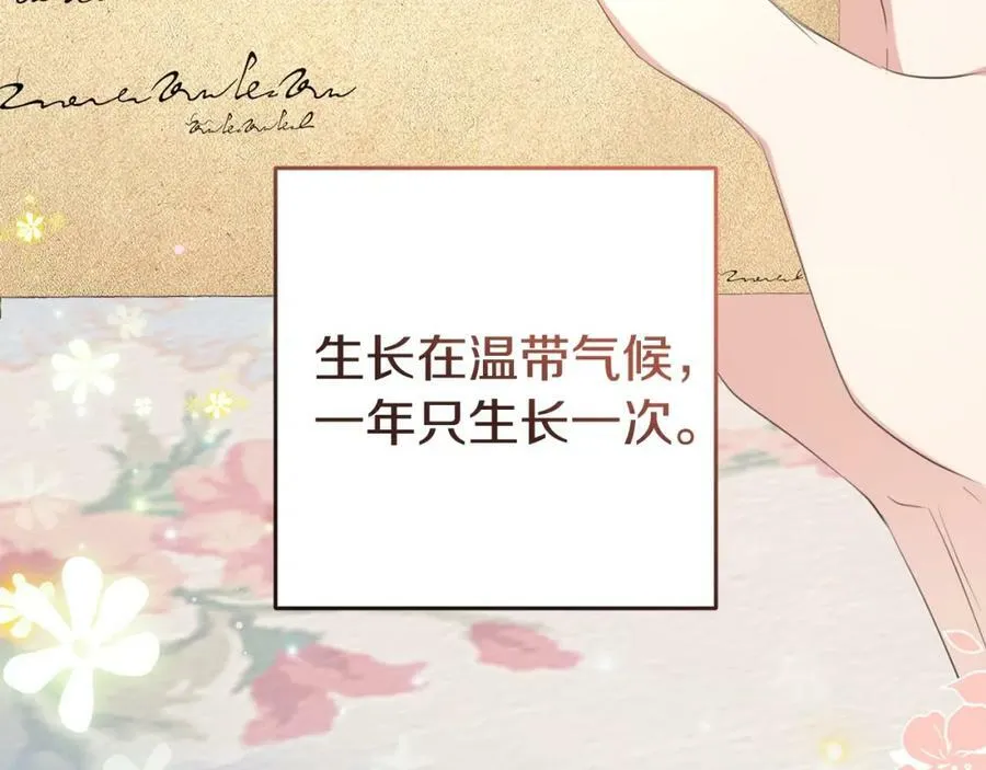 第46话 仇恨 第74页
