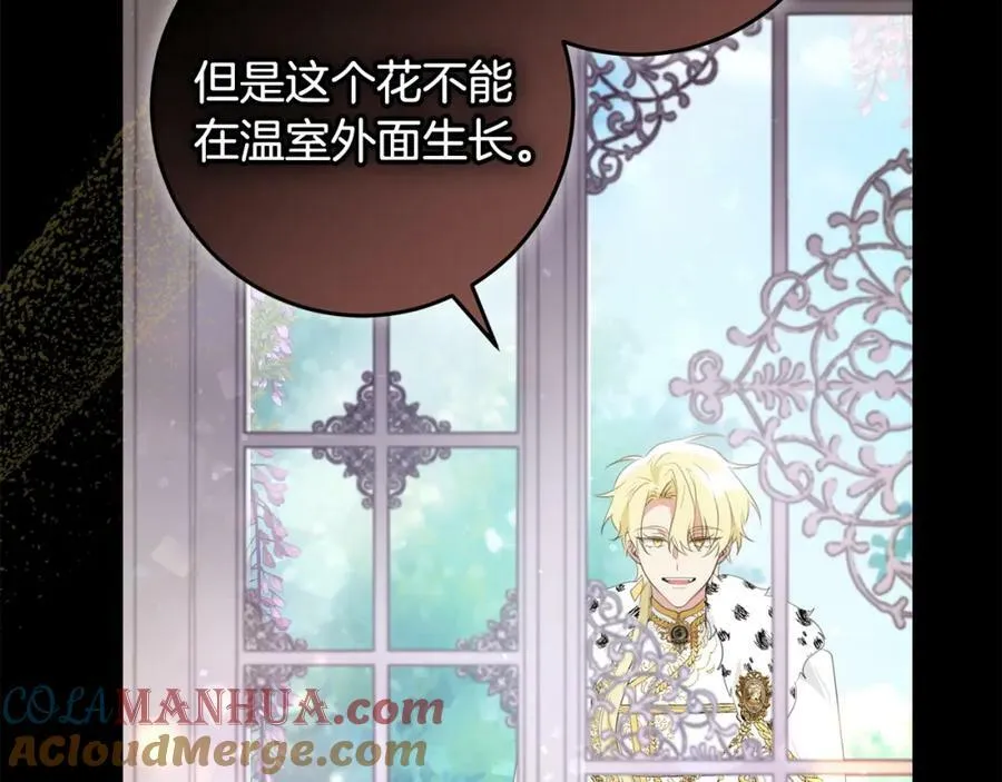 第47话 温室 第137页
