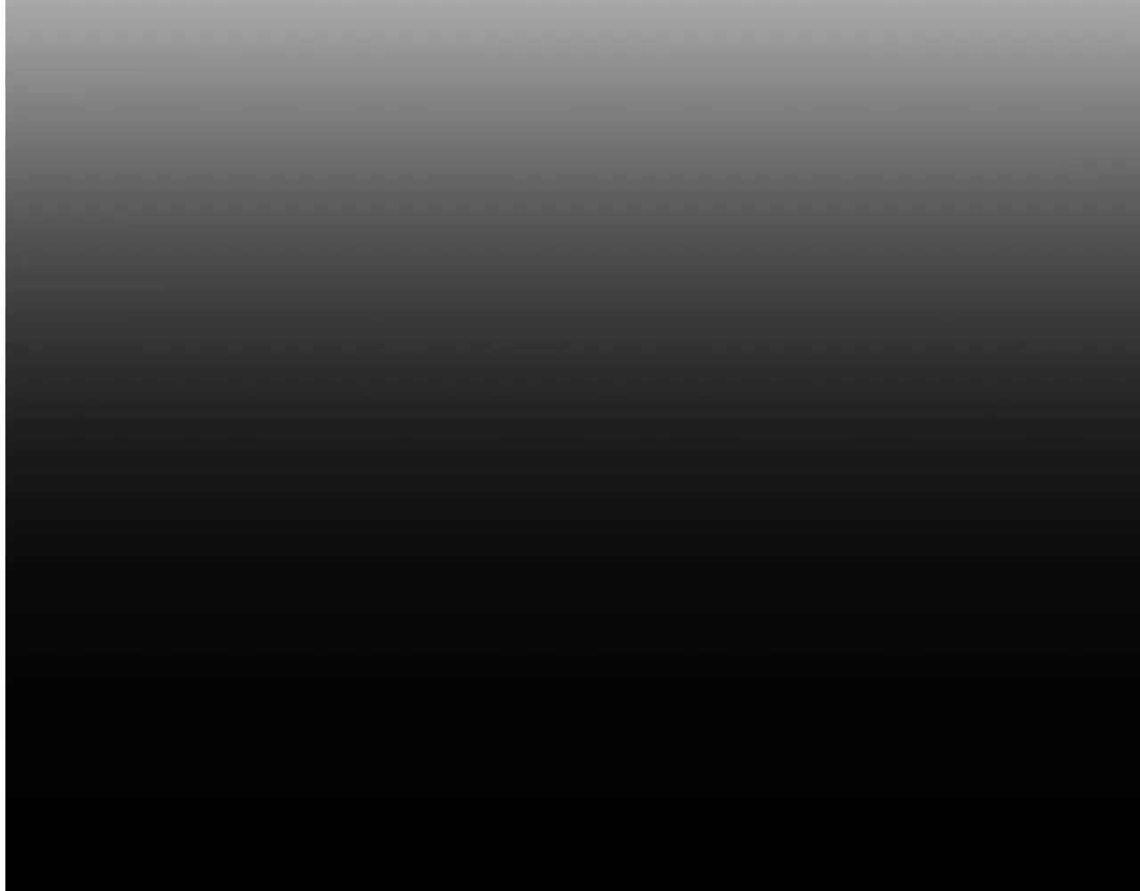 第80话 导向 第101页