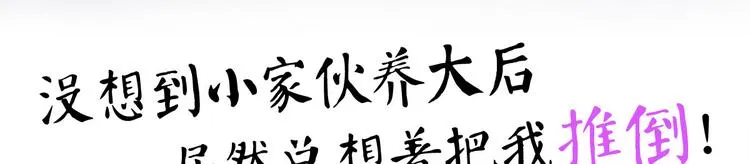 8月3日上线预告 第28页