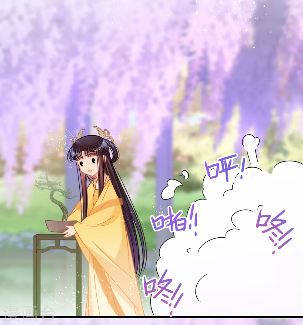 第33话3 一宫不容二傻 第17页