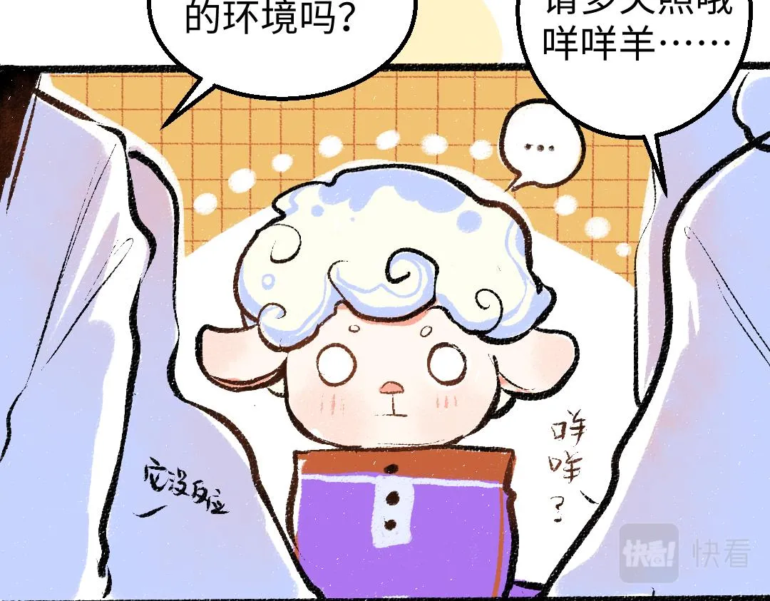第12话 暴躁小羊 第12页