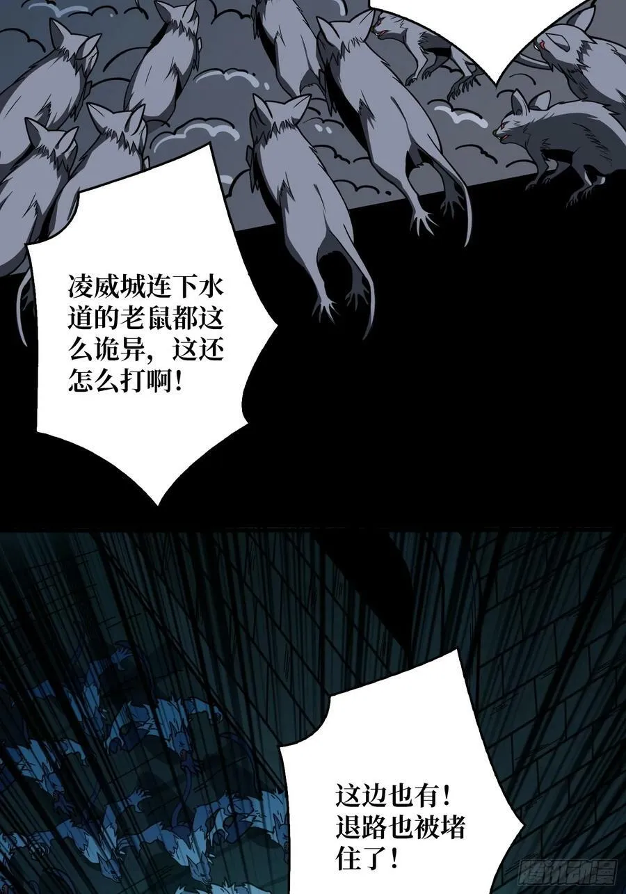 下水道的鼠鼠 第23页