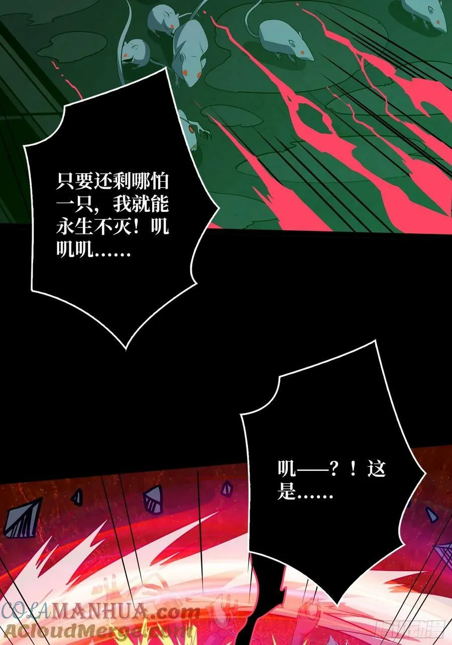 下水道的鼠鼠 第61页