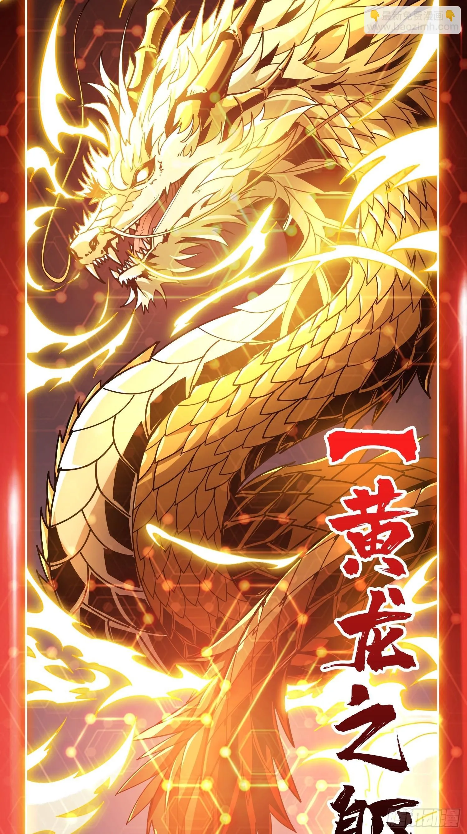 黄龙之躯 第67页
