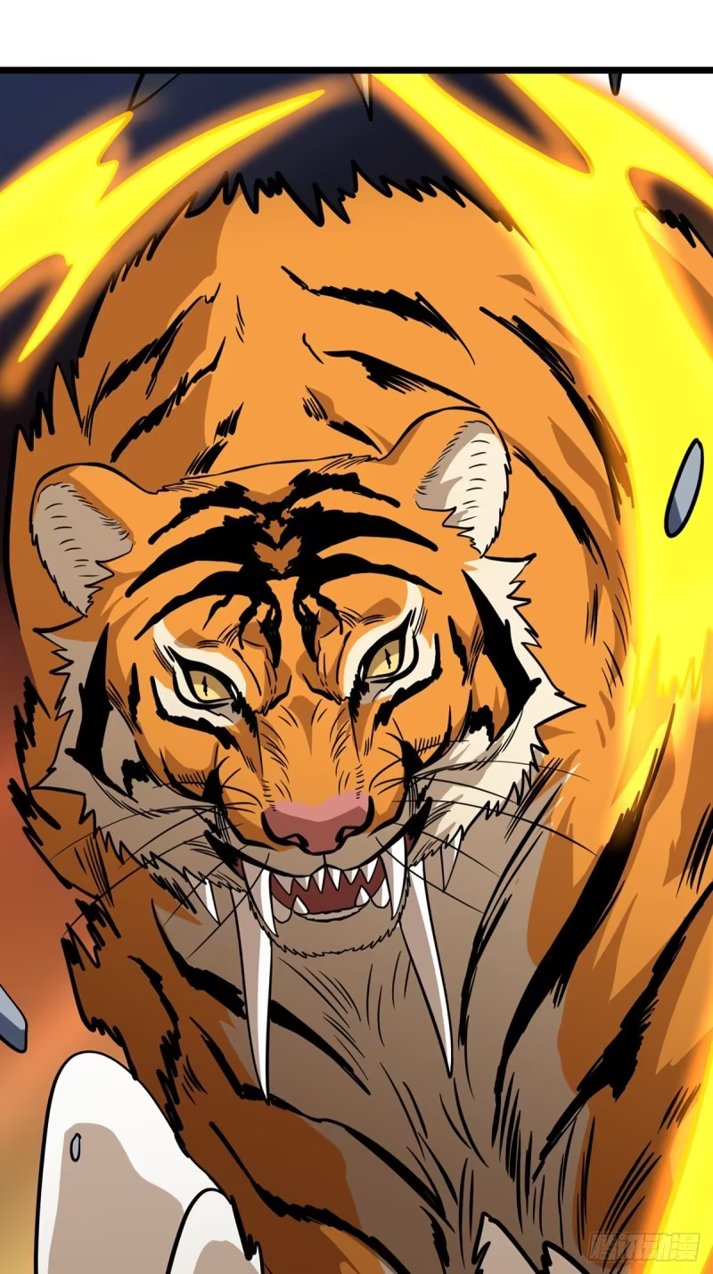 暴走猛虎 第1页