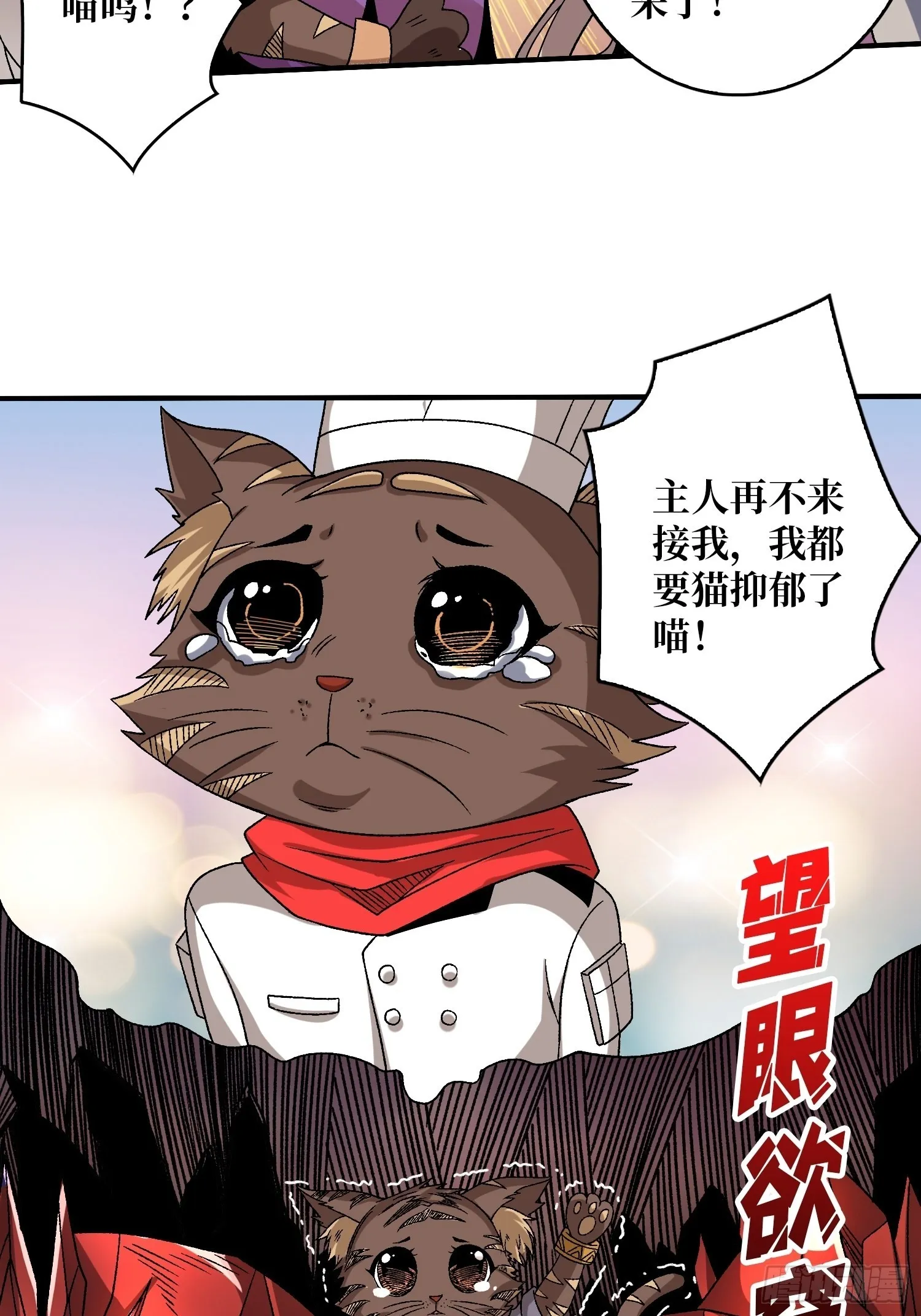 还不如一只喵？ 第47页