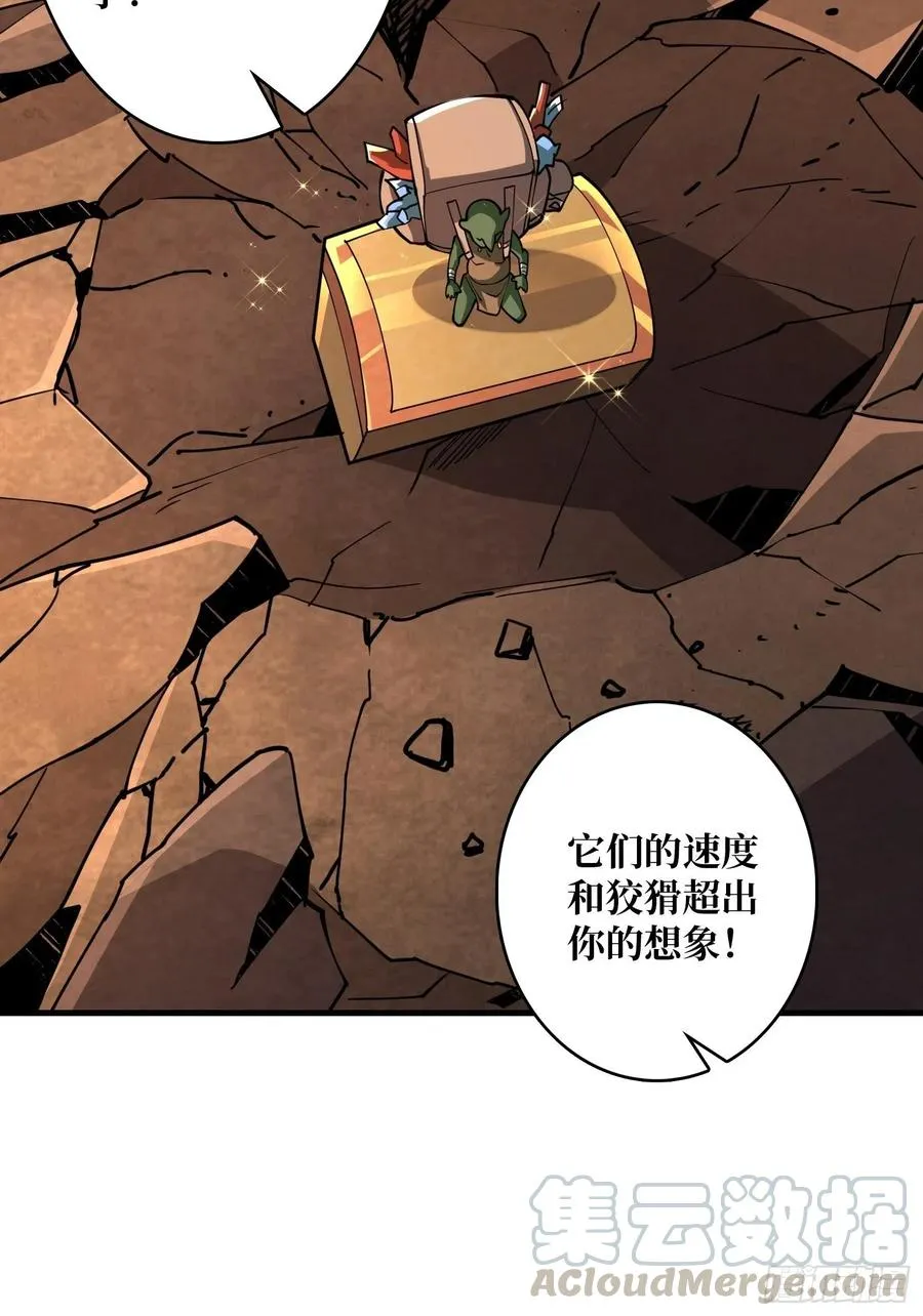 行走的宝库 第16页