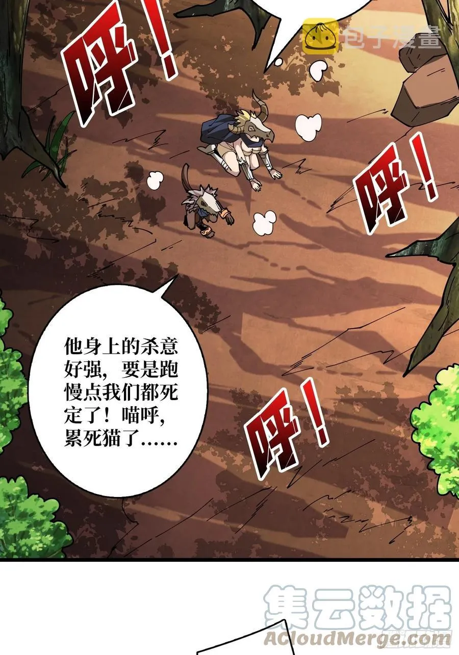 猫与谜之少女 第52页