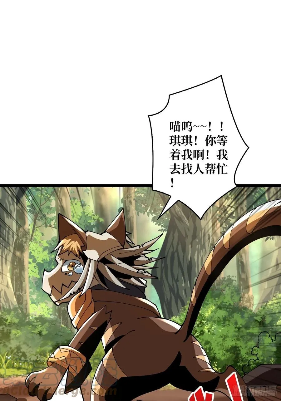 猫的报恩 第31页