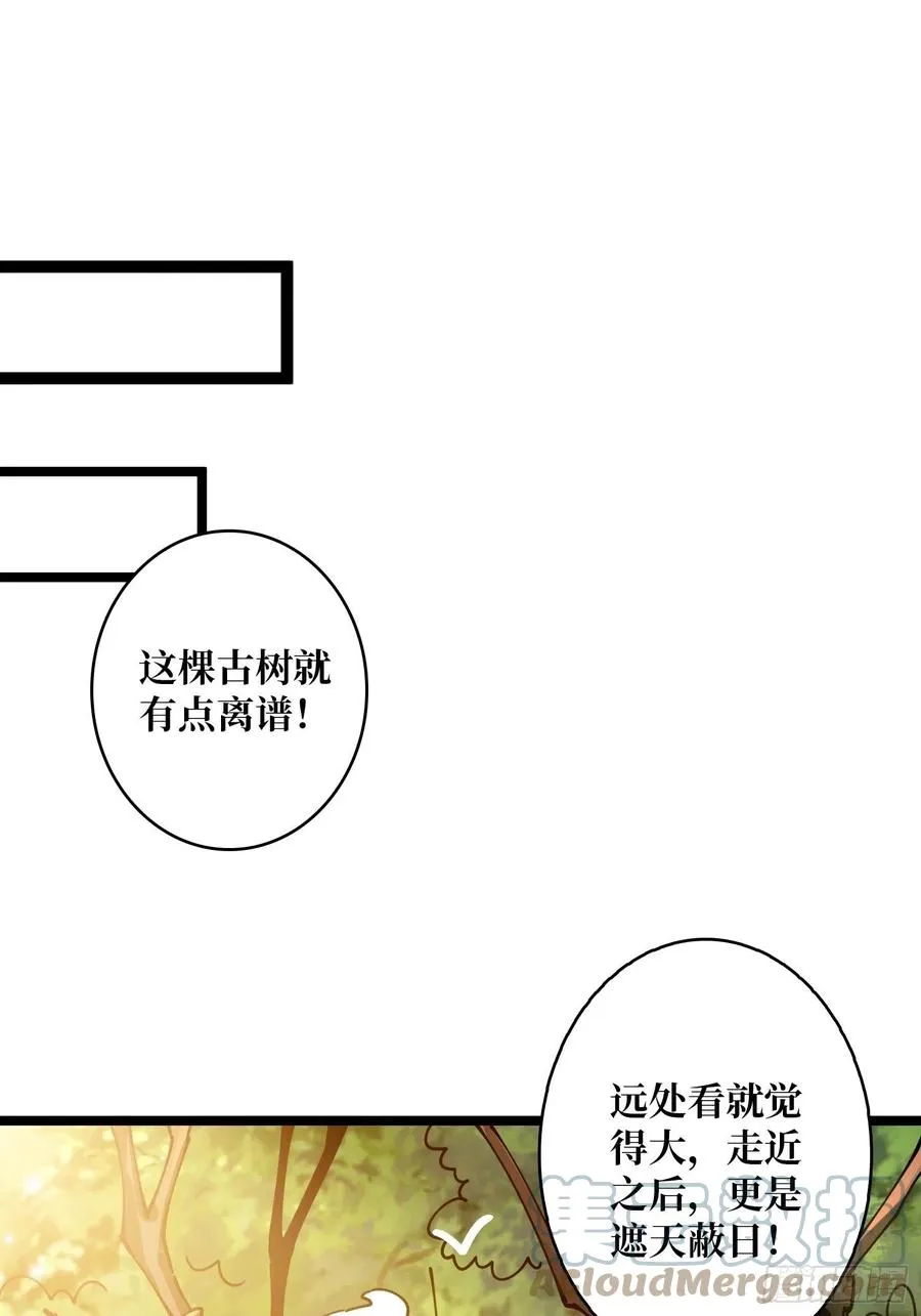猫的报恩 第40页