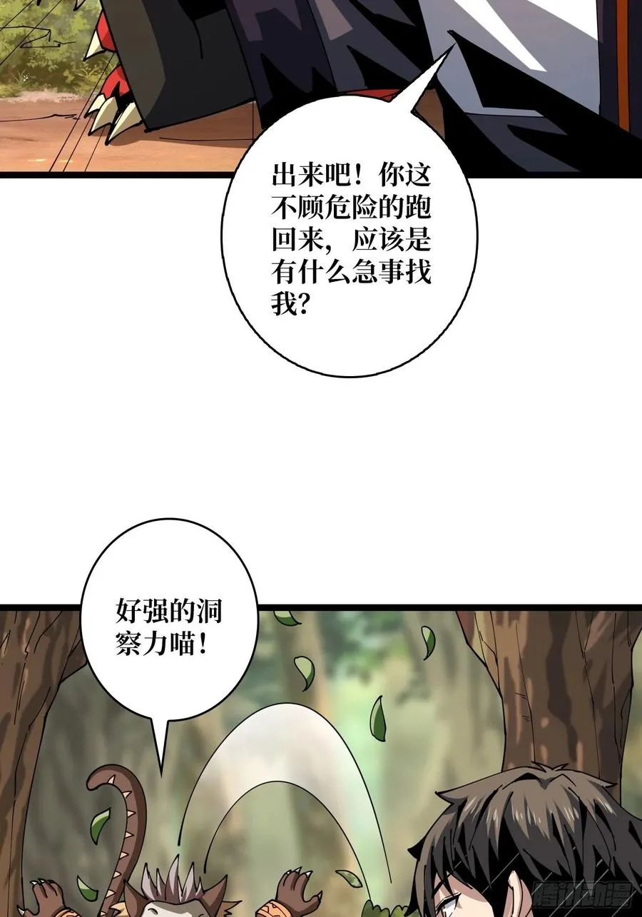 猫的报恩 第47页