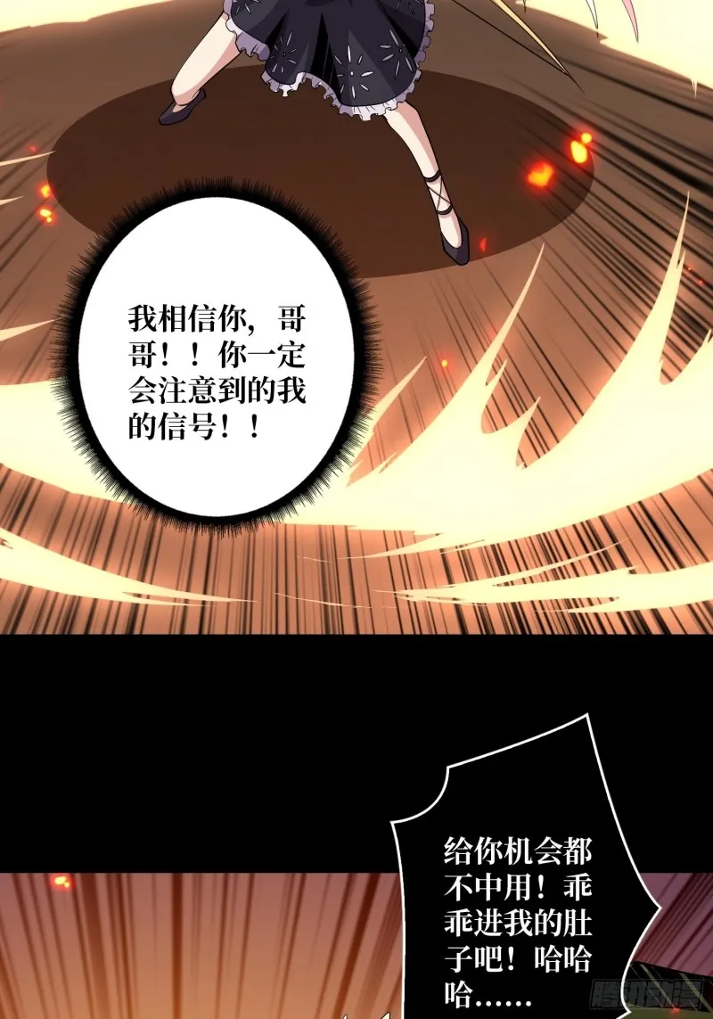 信号 第29页