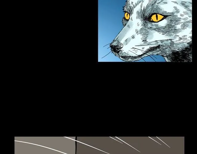第113话 猎狐人！ 第164页