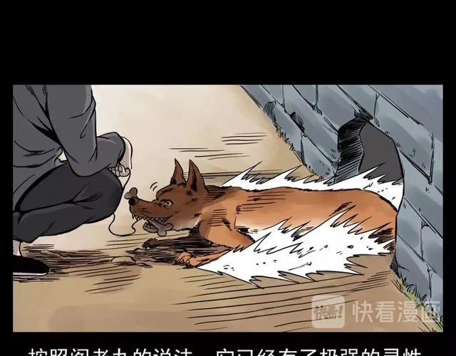 第116话 三脚猫！ 第10页