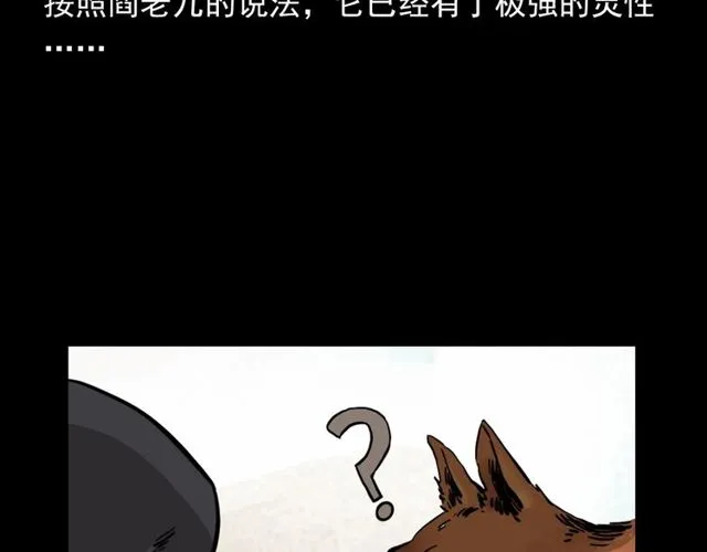 第116话 三脚猫！ 第11页