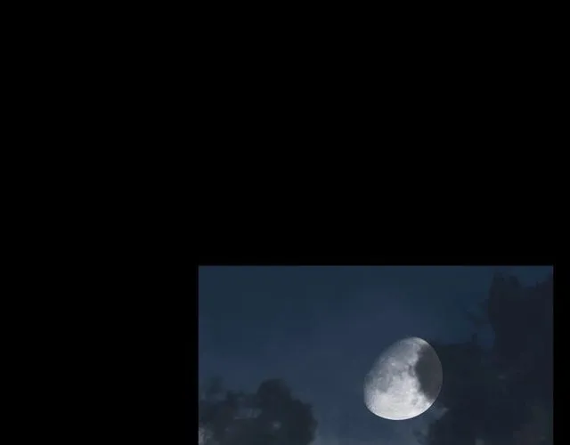 第116话 三脚猫！ 第49页