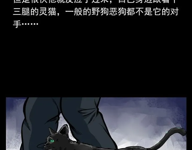 第116话 三脚猫！ 第91页