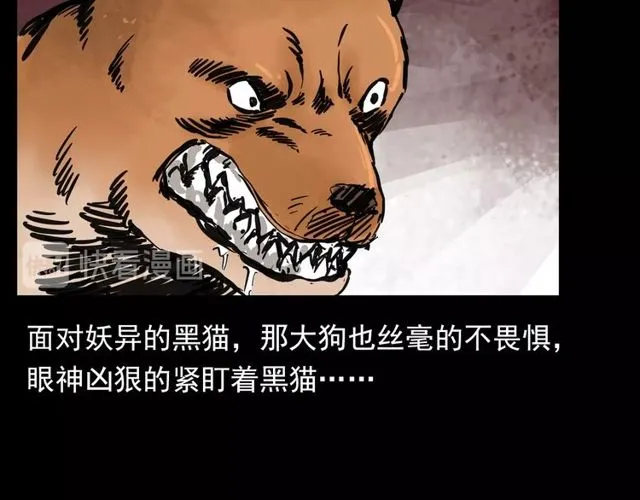 第116话 三脚猫！ 第100页