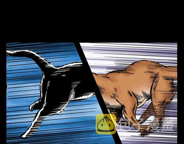 第116话 三脚猫！ 第101页