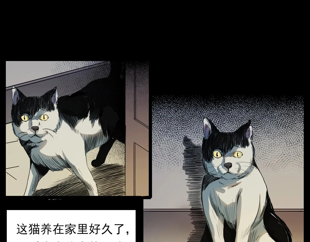 第208话 午夜场之床脚的鬼影 第19页