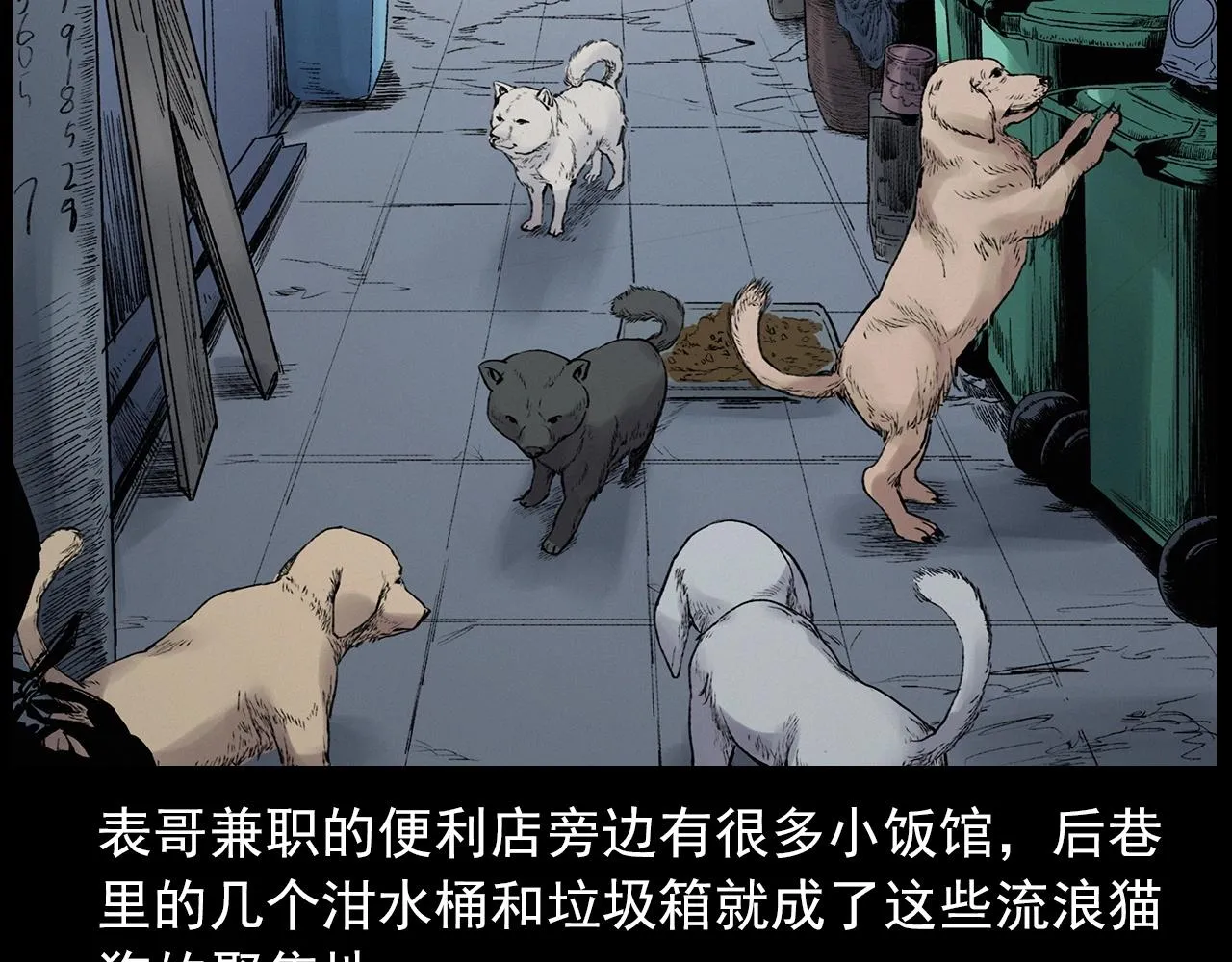 第412话 双瞳猫 第13页