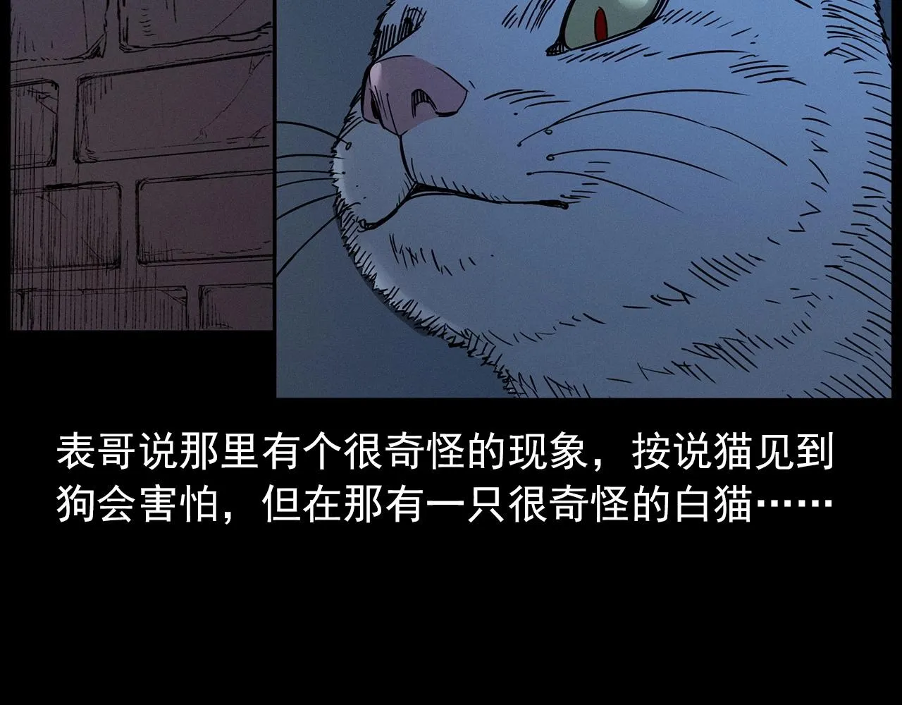 第412话 双瞳猫 第22页